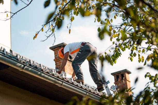 Best Roof Waterproofing Services  in Wallington, NJ