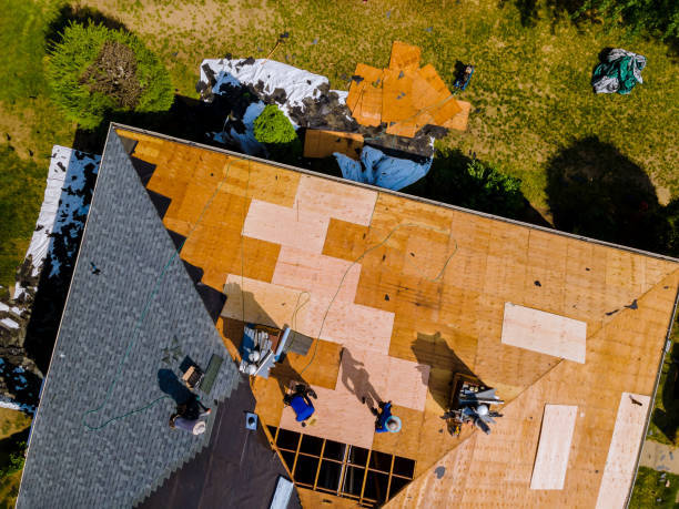 Best Storm Damage Roof Repair  in Wallington, NJ