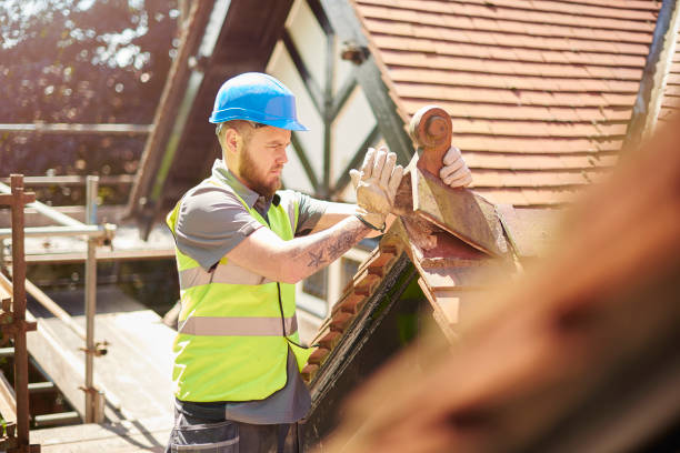 Roof Gutter Cleaning in Wallington, NJ