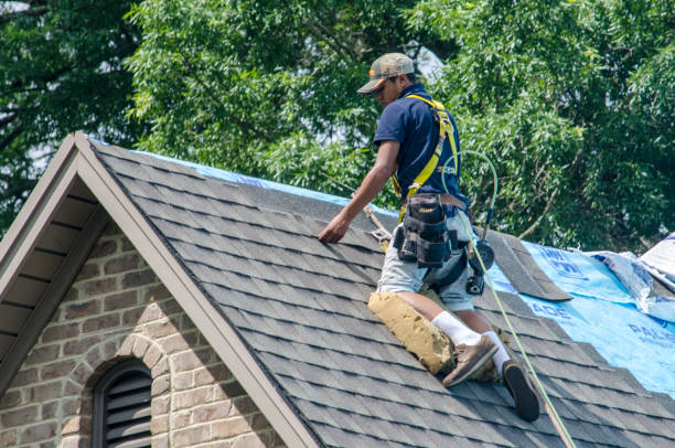 Professional Roofing Contractor in Wallington, NJ